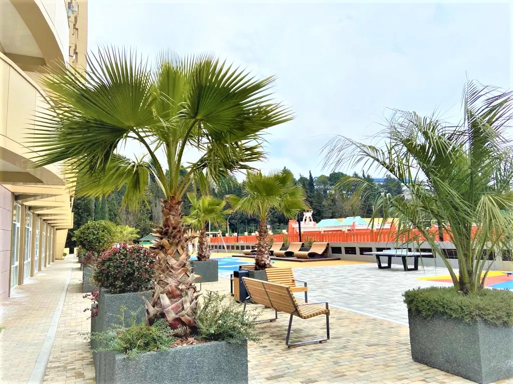 Квартира Квартира Новый дизайнерский апартамент у моря — Адлер