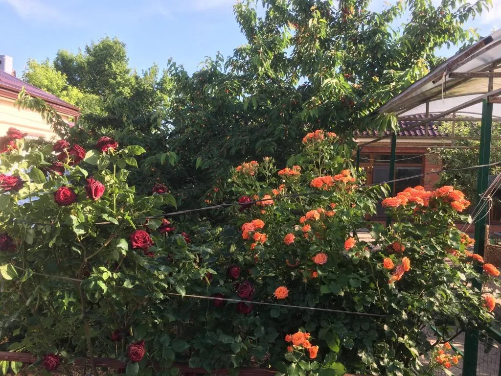 1-комнатный Дом