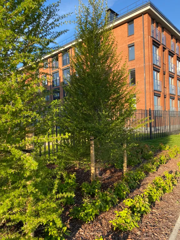 Квартира 1-комнатная квартира в новом ЖК Фортеция — Кронштадт