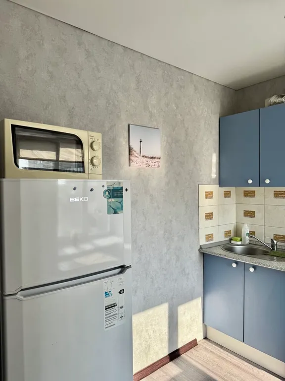 Квартира 1-комнатная Квартира — Барнаул