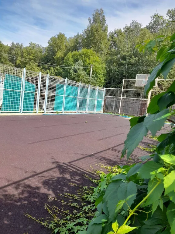 Дом с баней, бассейном и караоке