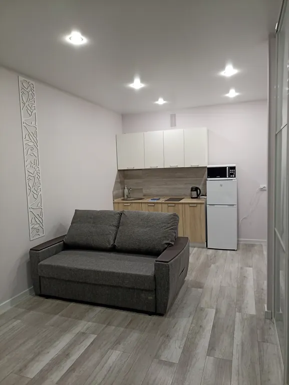 Апартаменты свободной планировки