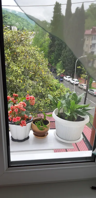 Квартира в центре Хосты в 10 мин до моря