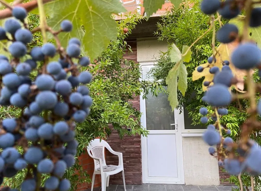 Двухместный номер Тихий уголок улучшенный +доп место