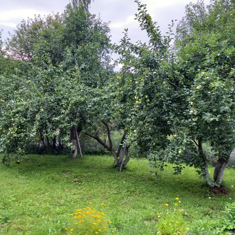 Дом на скале