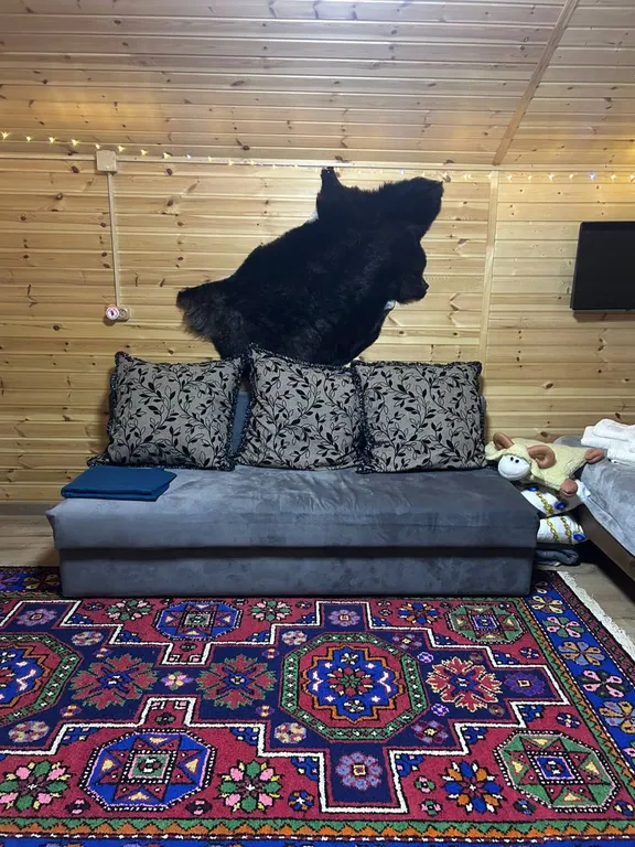 Домики у реки Теберда