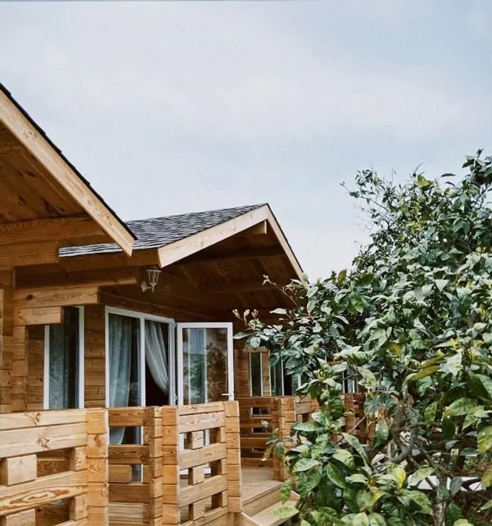 Уютные коттеджи у моря — аренда посуточно в Гудаута