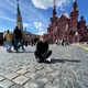 Ира