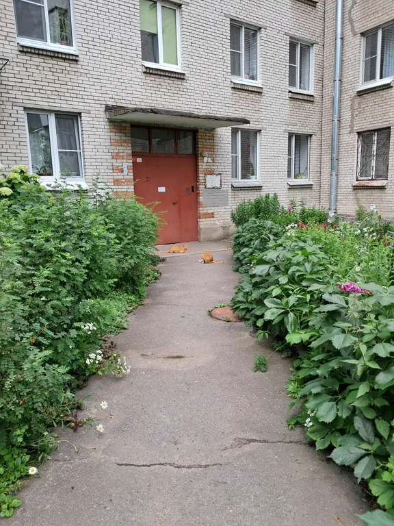 Уютная 1-комнатная квартира в центре Петергофа