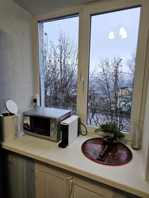 Уютная однокомнатная квартира