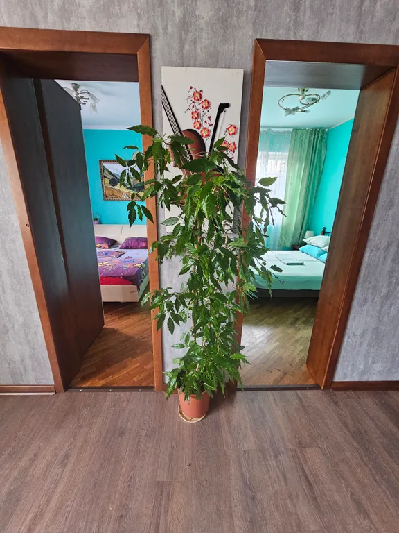 Квартира Уютная квартира в станице Динская — Динская