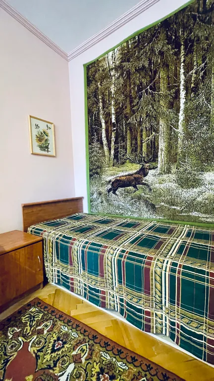 Просторная трешка в центре