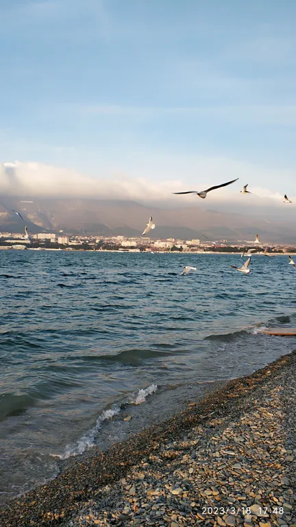 Квартира Квартира Евродвушка с видом на море — Геленджик