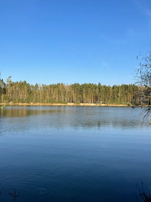 Уютный дом у леса и озера