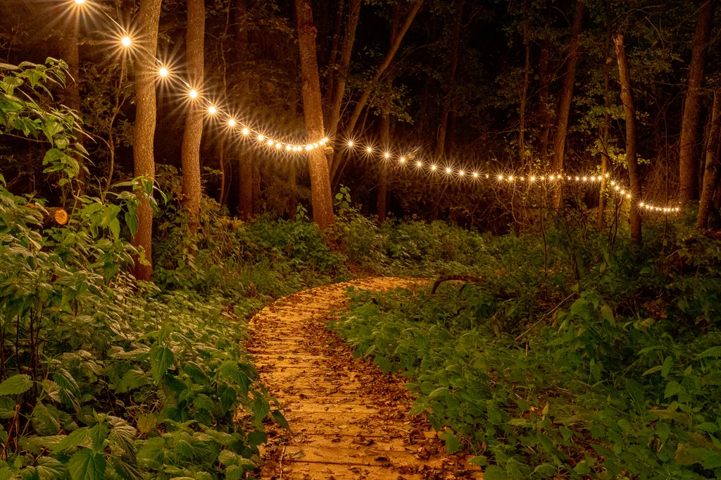 Дом Барнхаус