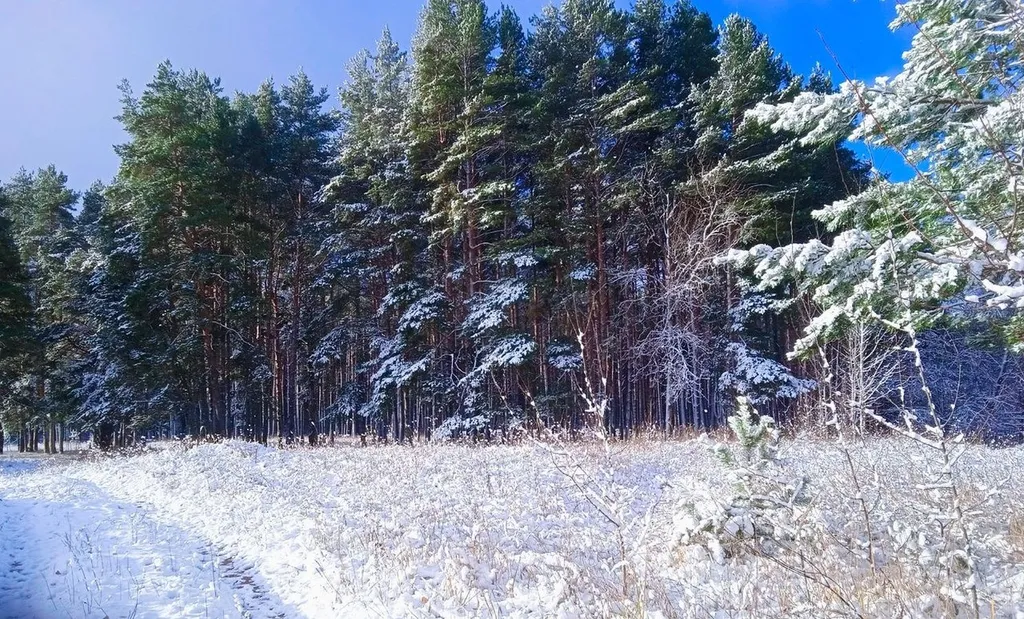 Уютный домик с русской банькой