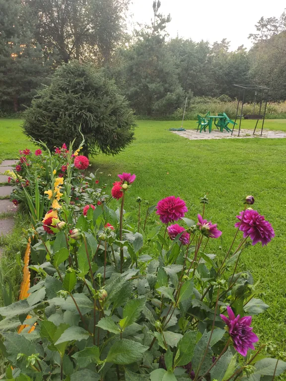 Апартаменты Комфорт с террасой и видом на Суходольское озеро