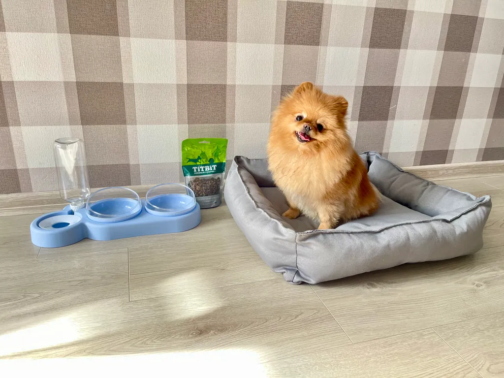 Квартира с уютным балконом и видом на лесопарк