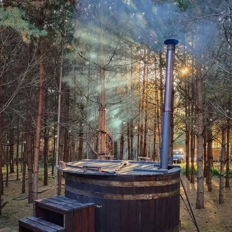 Гостевой домик A-frame в сосновом лесу