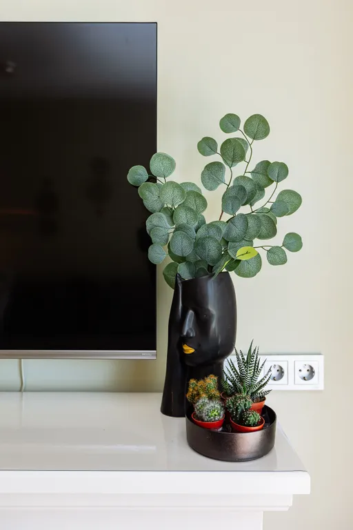 Две минуты и вы уже на Острове Канта, в самом центре Калининграда!