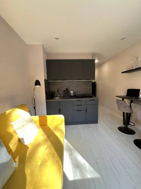Квартира Яркие Апартаменты Pineapple у метро Кузьминки — Москва