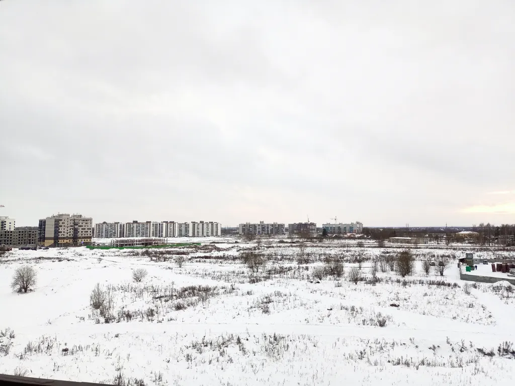 Апартаменты Монстера