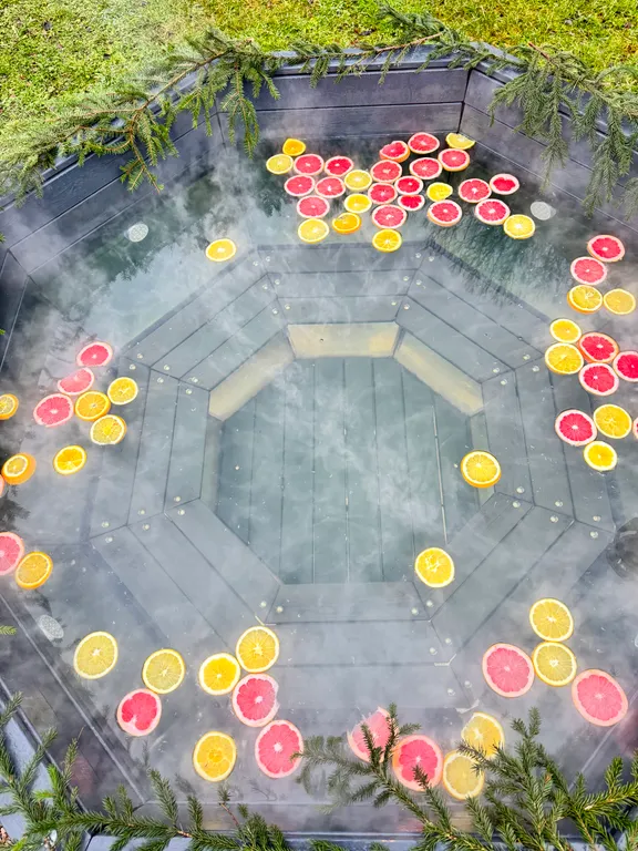 Коттедж Дом с баней и чаном у леса — Дубна