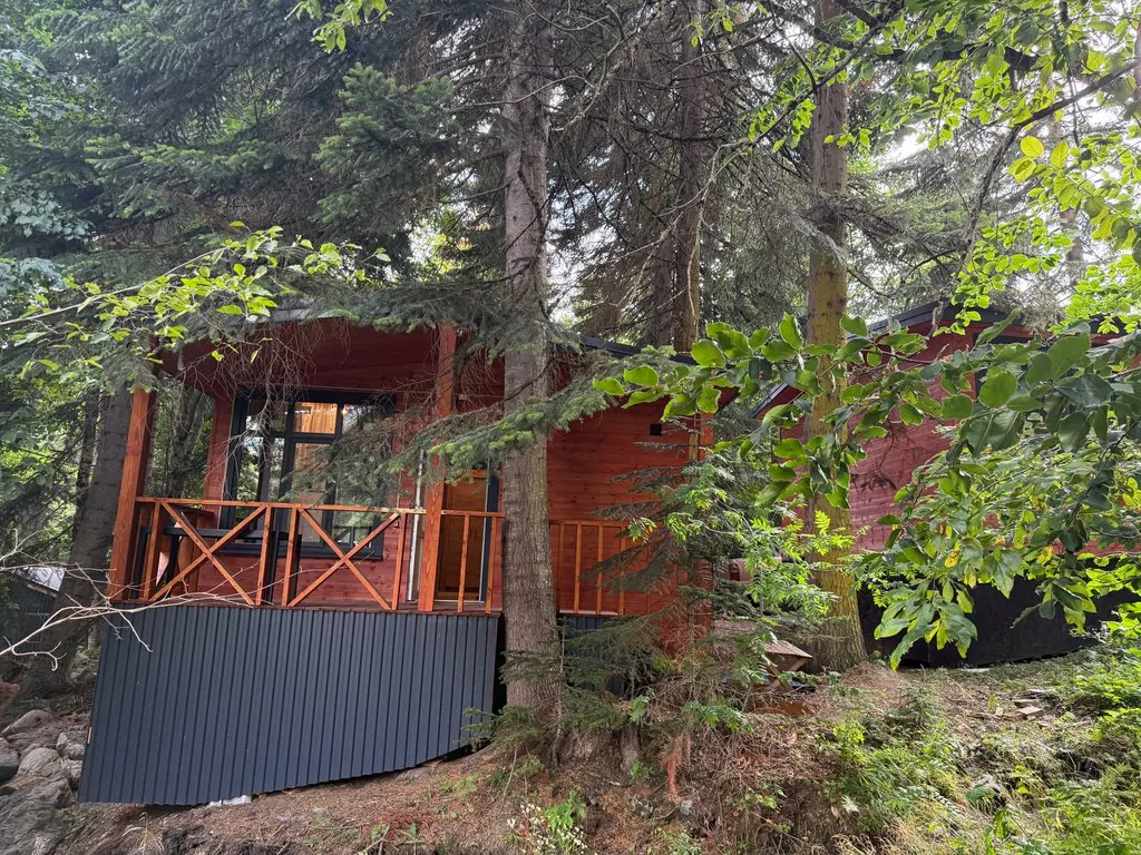 Шале Зарево 2