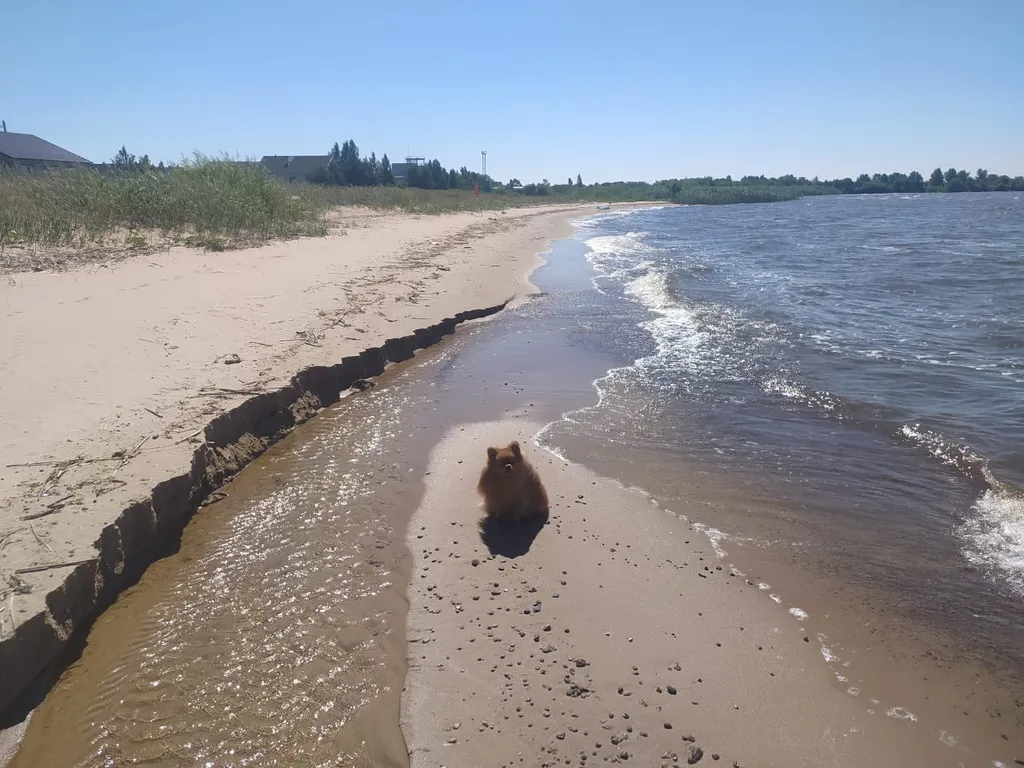 Дом с видом на Чудское озеро