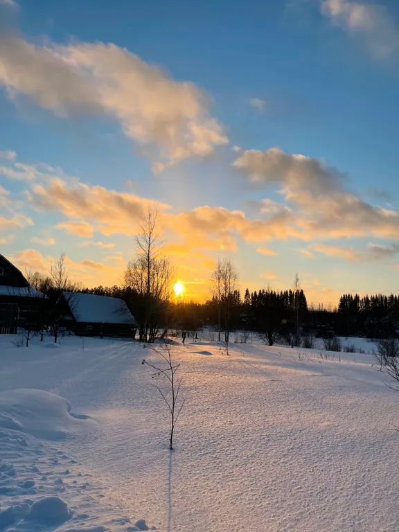 Три Галки Дом в саду