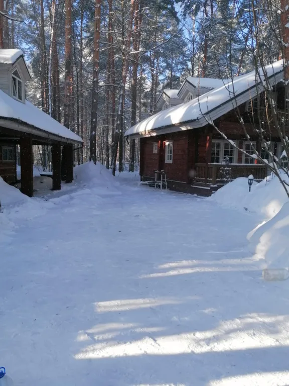 Уютный коттедж в сосновом лесу рядом с Москвой