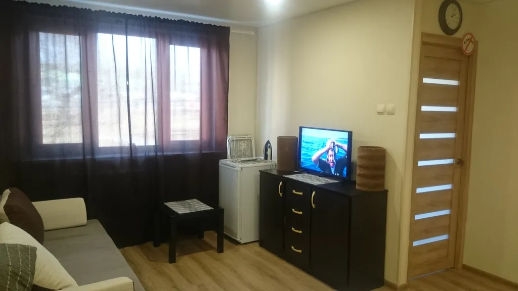 Уютная однокомнатная квартира в центре города