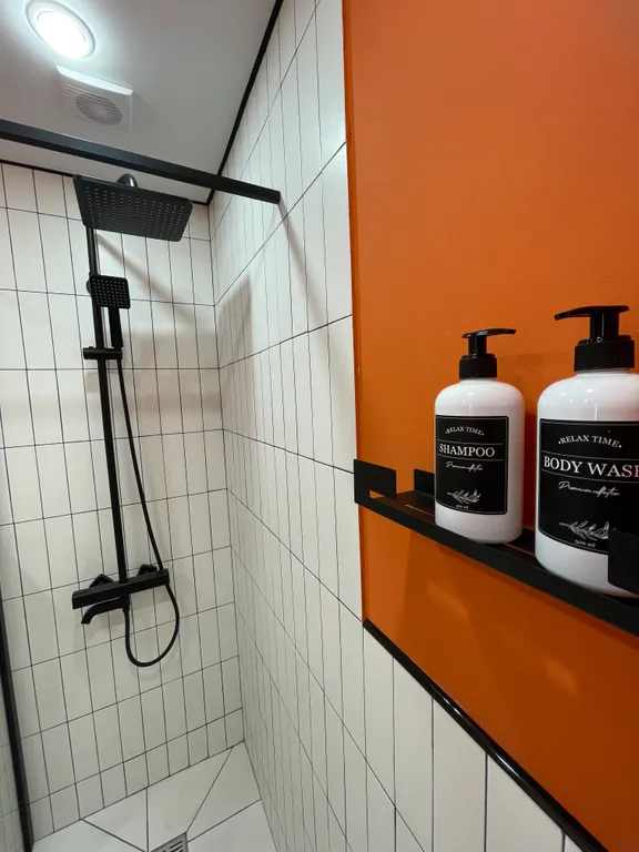 Туманный лес студия