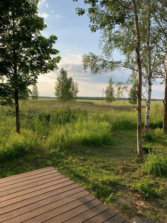 Домик с видом на лес