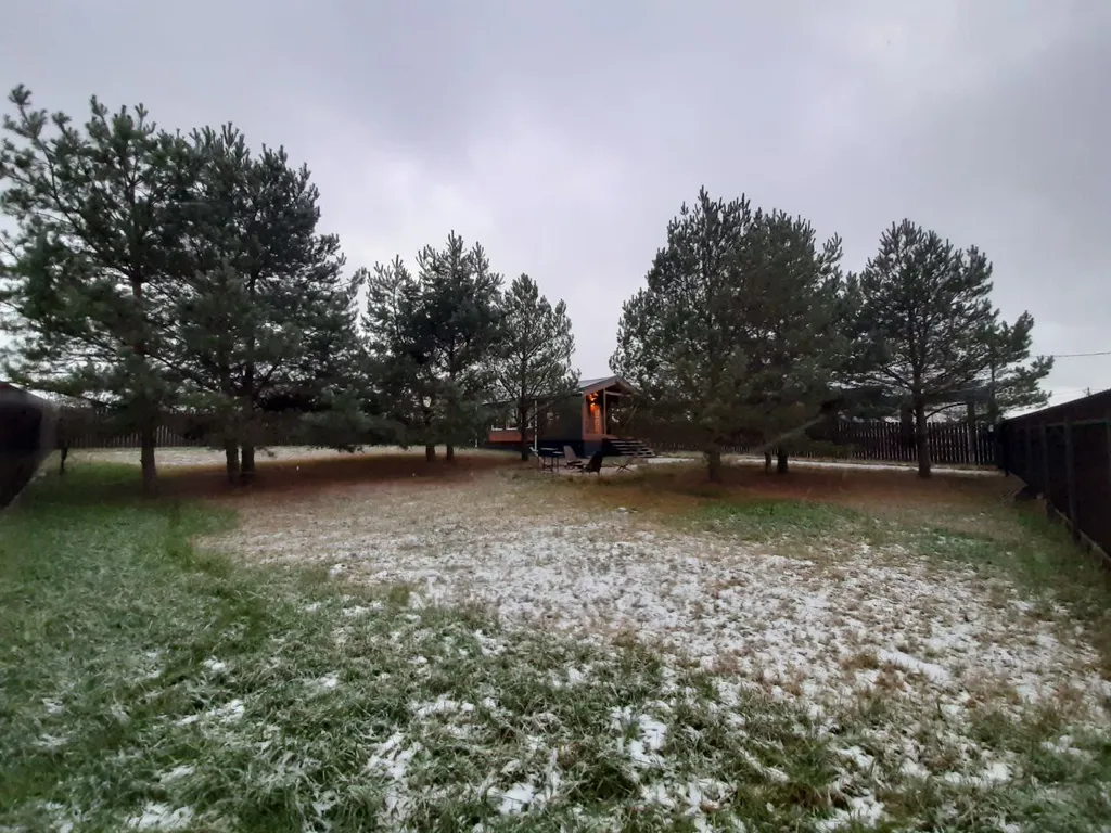 Дом в  соснах.