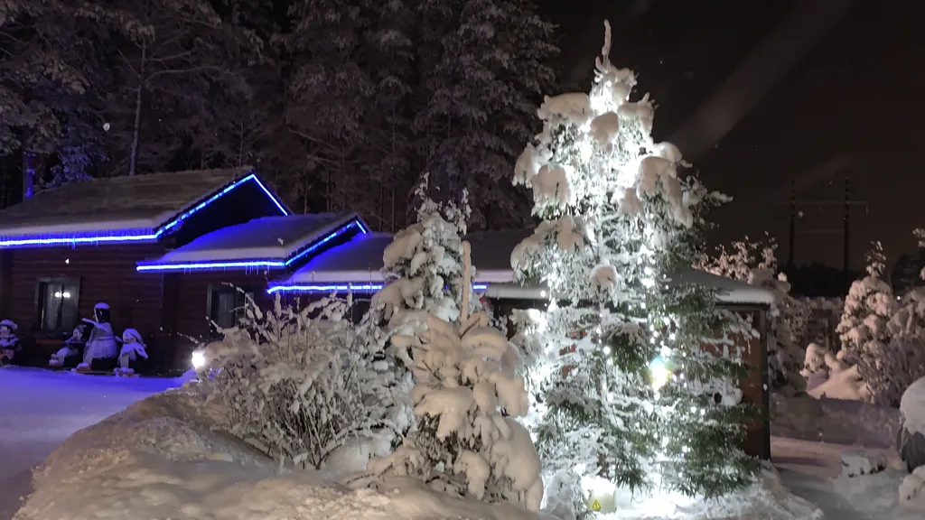 Дом в сосновом бору