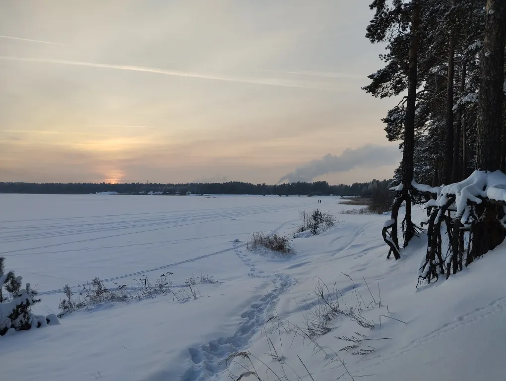 Дом в сосновом бору на озере