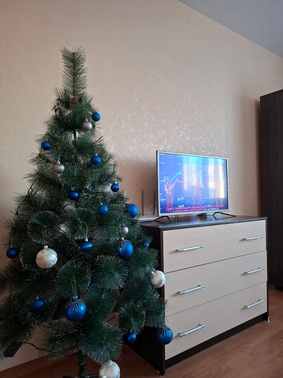 Просторная и светлая квартира в центре