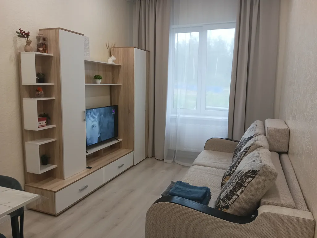 Уютная студия в Чистых ручьях