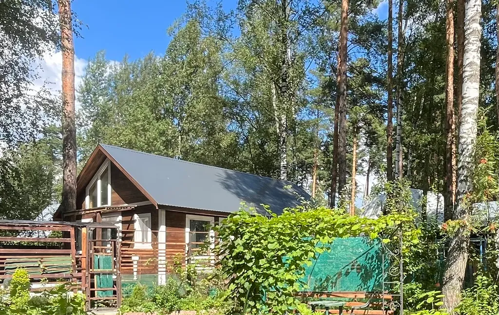 Уютный дом с гусями