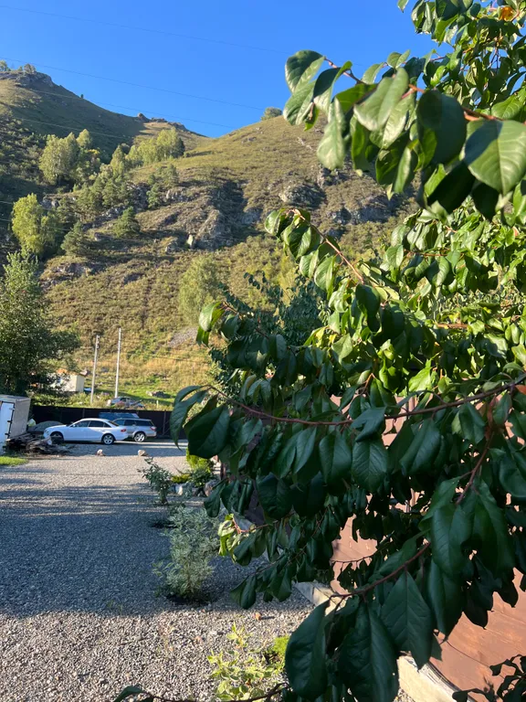 Дом благоустроенный с видом на гору