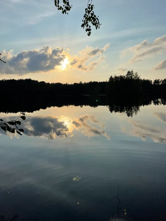 Карельская Дача Уютное шале с камином в сосновом бору, берег Сямозера