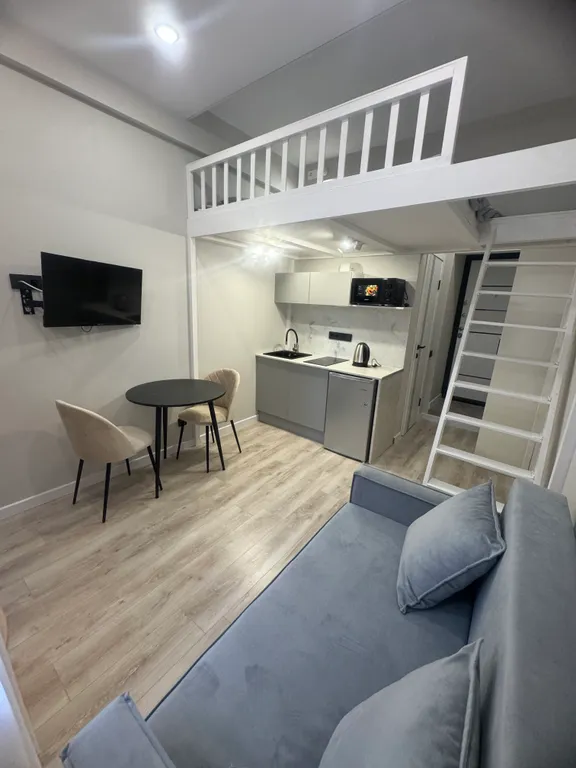 Уютная студия в центре города