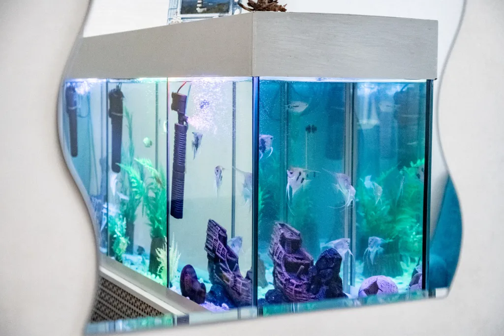 Уютная квартира с большим аквариумом