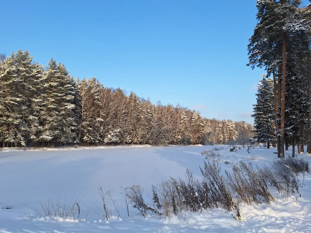 Барнхаус в лесу с розовой гостиной