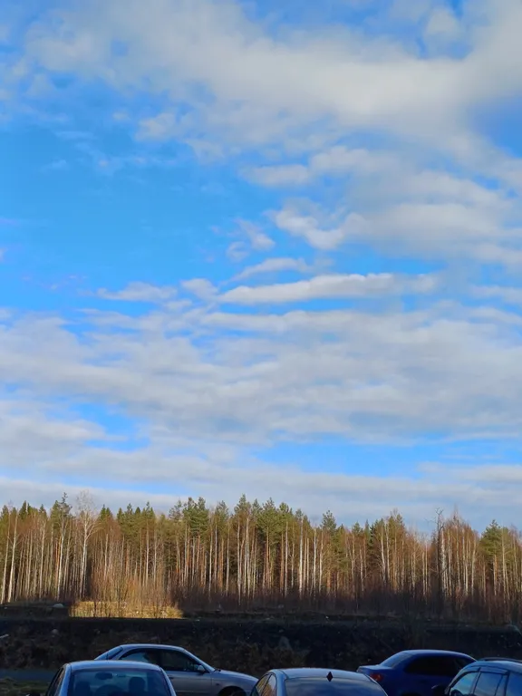Уютная квартира в спальном районе у леса