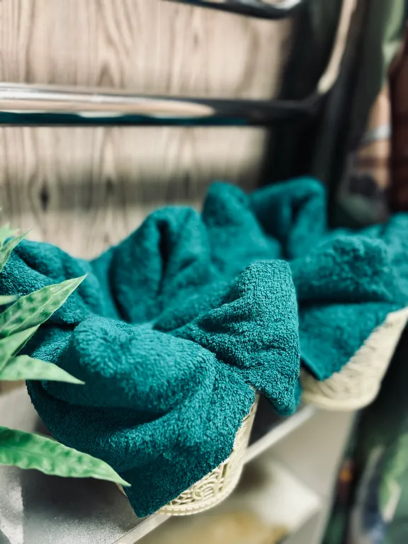 В гостях у Алисы