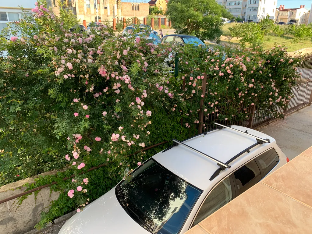 Новые апартаменты c террасой и видом на город и море