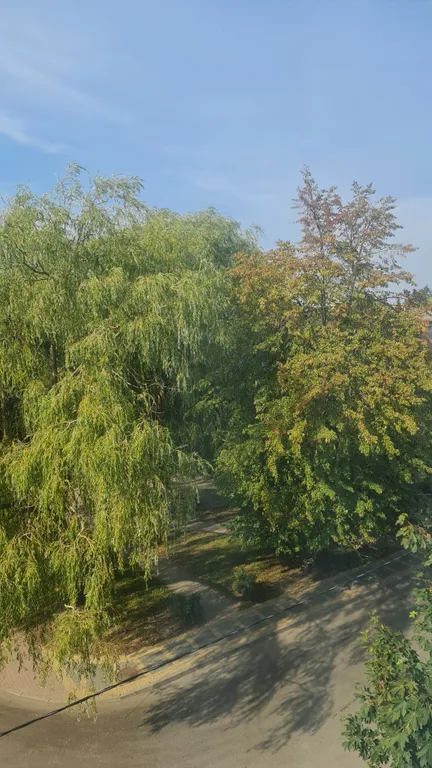 Уютная квартира в тихом районе