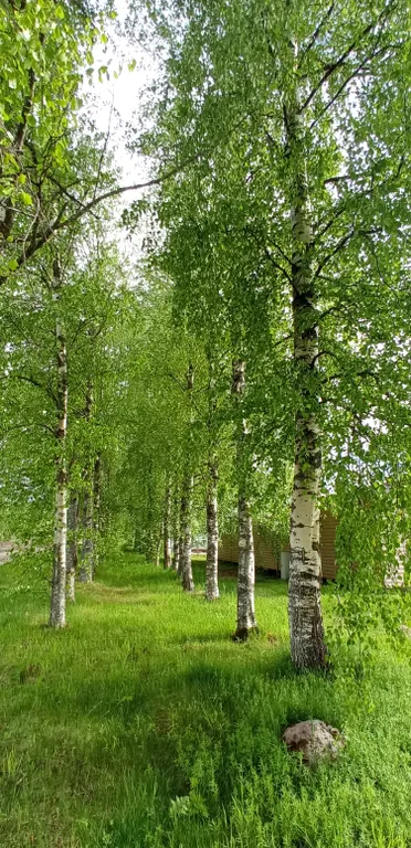 Дом -дуплекс с сауной, камином и фотозоной 12 месяцев